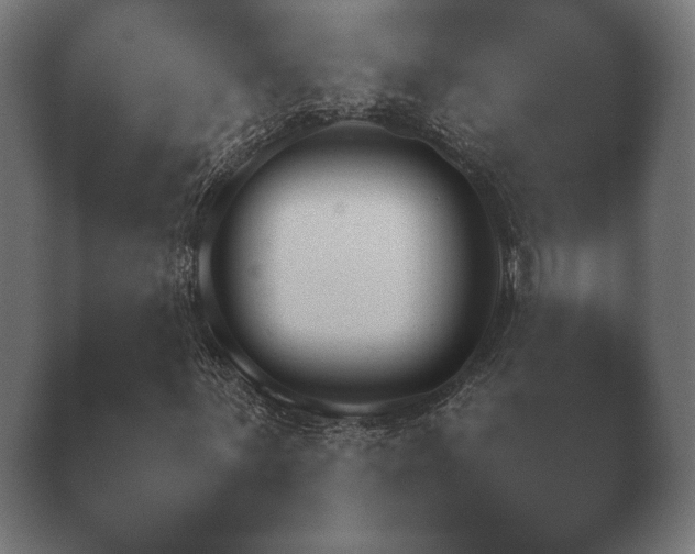 X0000040561059200411021422.png