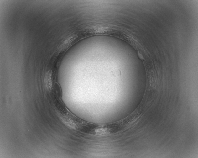 X0000055060216200508161654.png