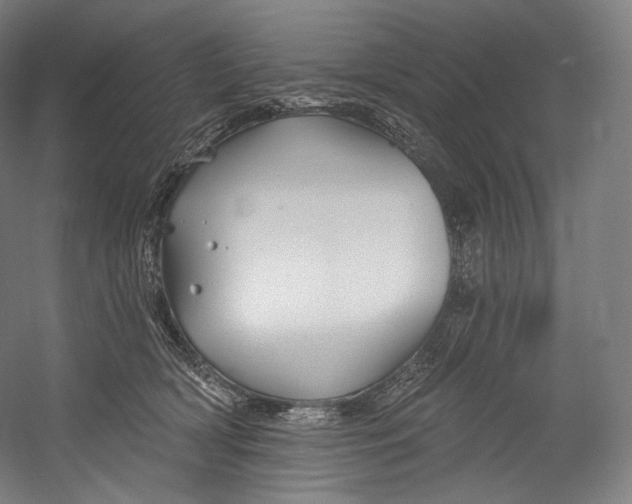 X0000055210418200508301327.png