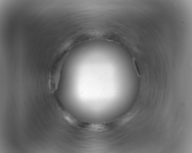 X0000054330528200508111922.png