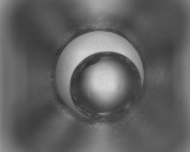 X0000054110537200508022101.png