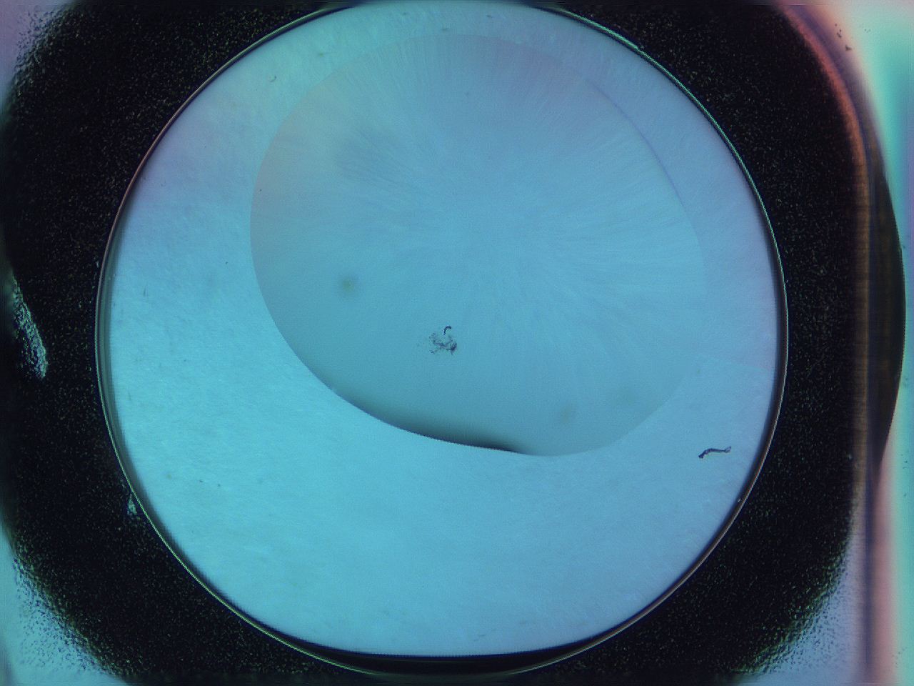 0587_A9_ImagerDefaults_0.jpg