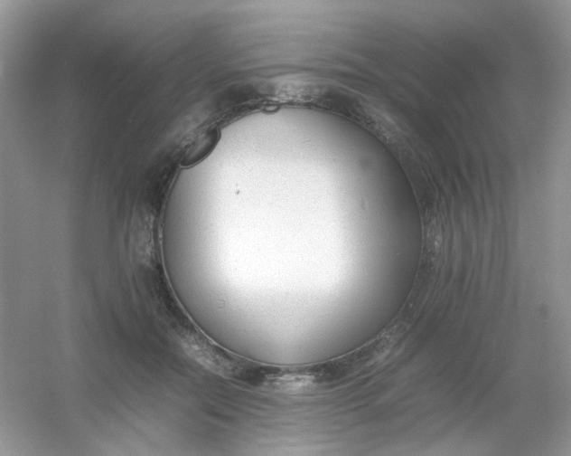 X0000054330554200508111922.png