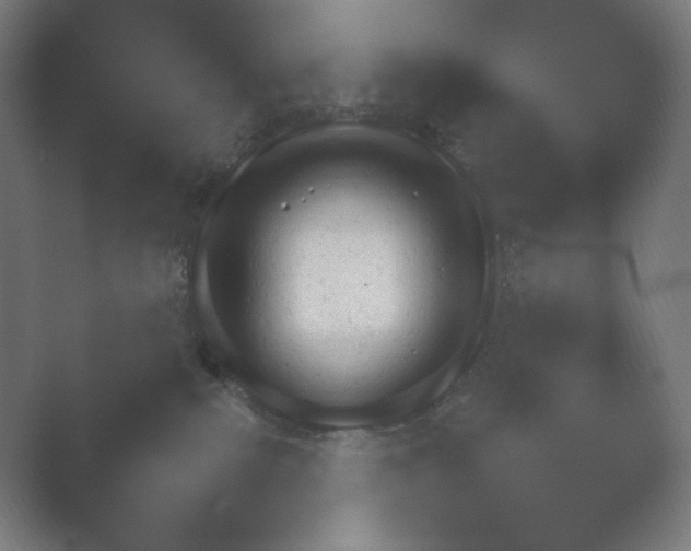 X0000054970087200509051515.png