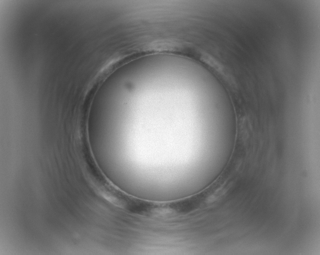 X0000054330203200508111928.png