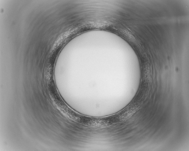 X0000054230736200508171511.png