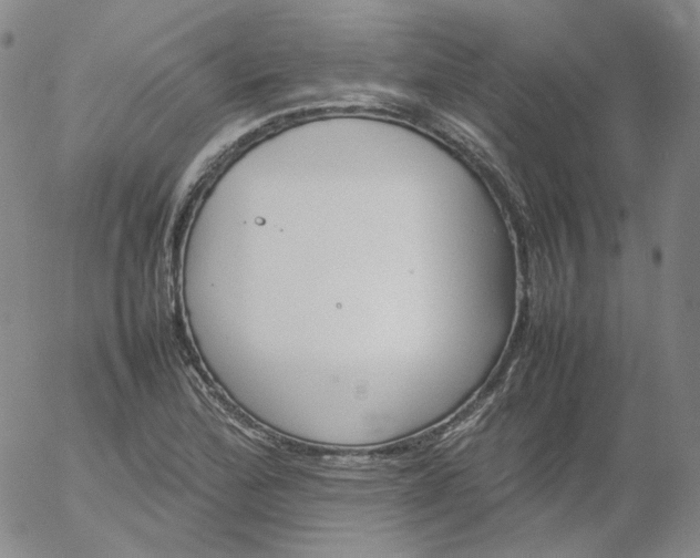 X0000054651172200508091634.png