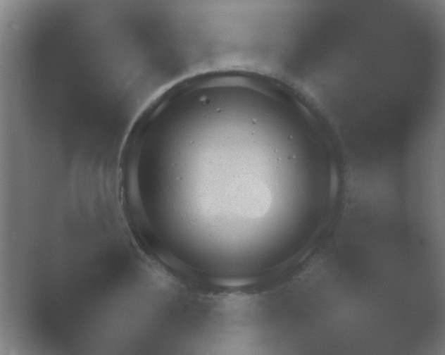 X0000054111324200508022049.png