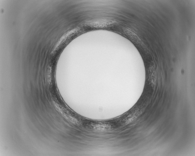 X0000054230400200508171517.png