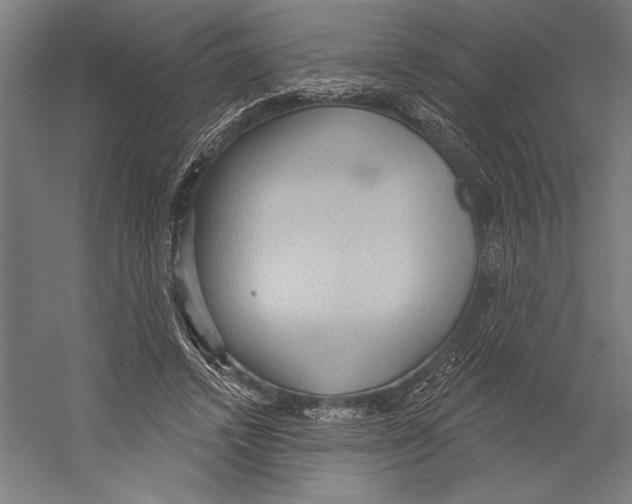 X0000055250448200509071620.png