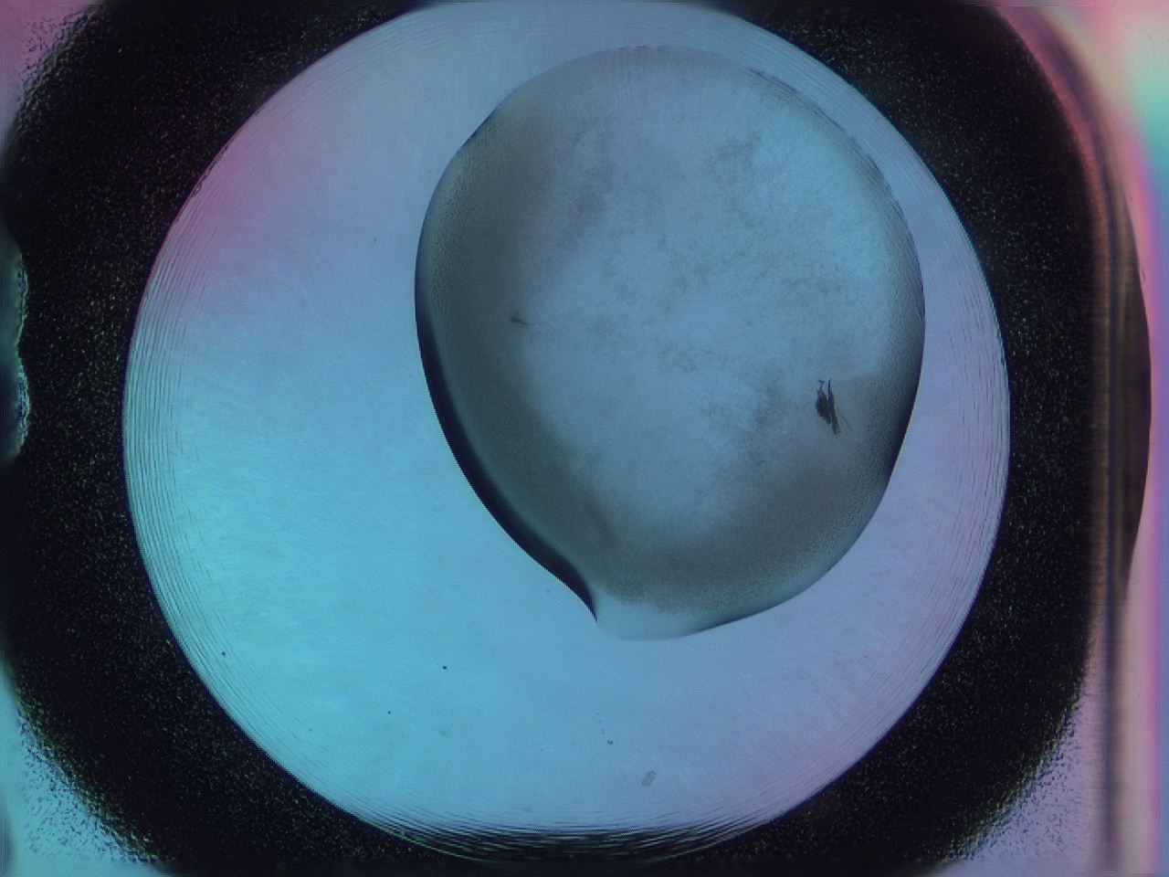 0587_B8_ImagerDefaults_3.jpg