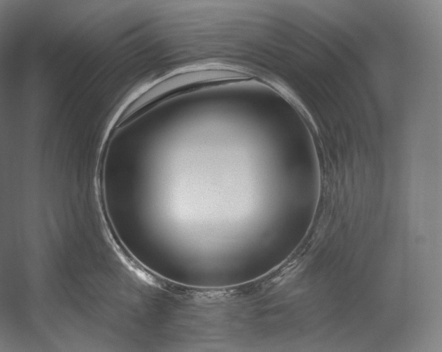 X0000055210813200508301320.png