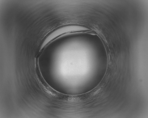 X0000055210109200508301332.png