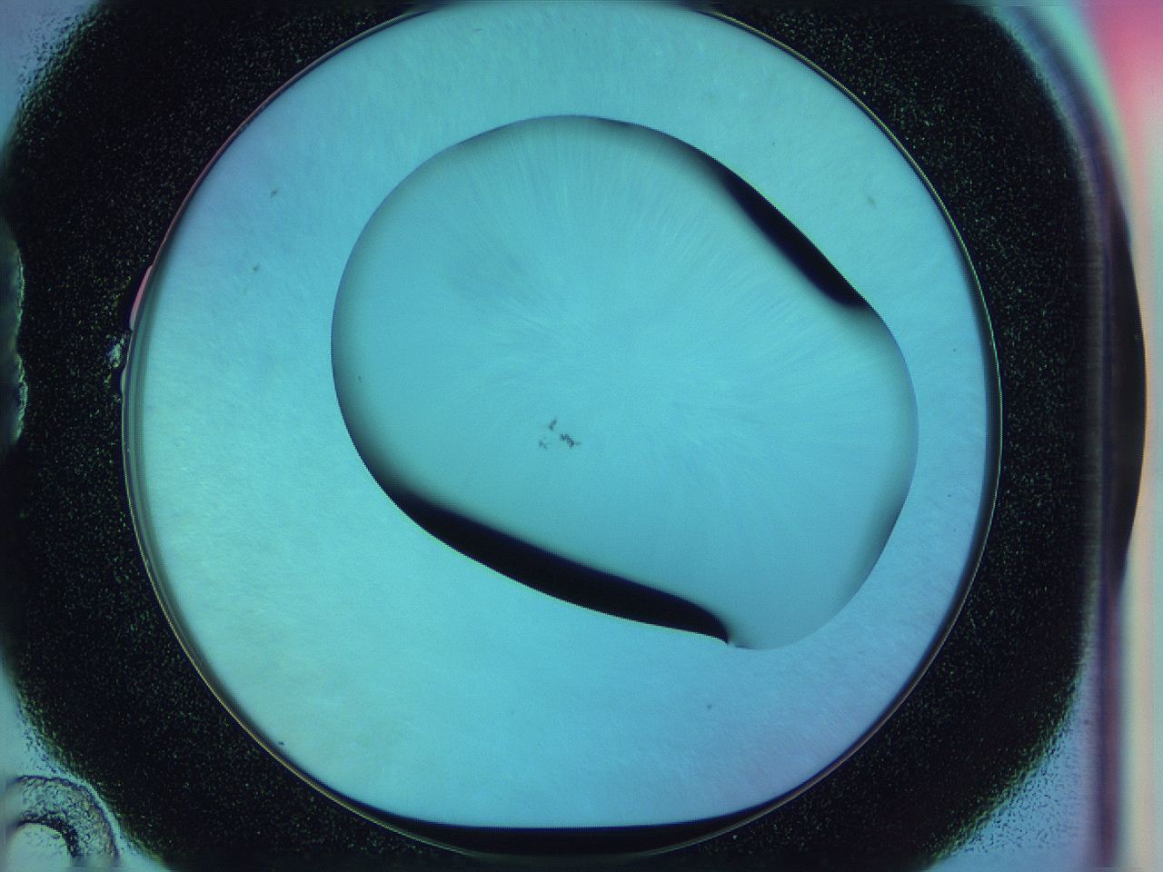 0587_B10_ImagerDefaults_1.jpg
