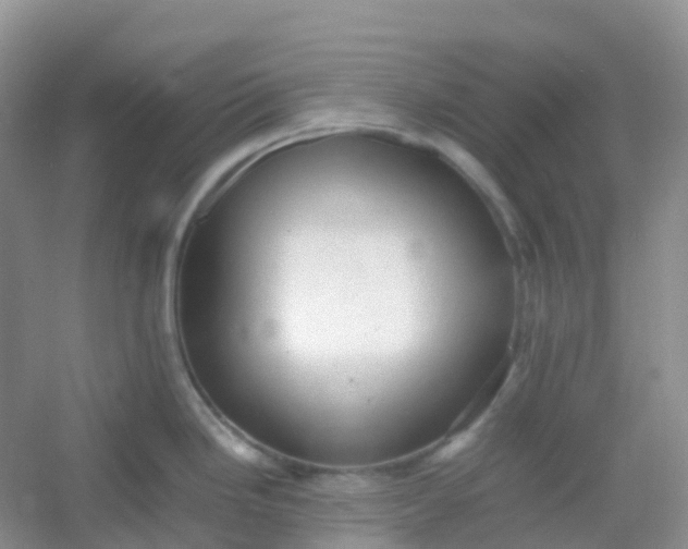 X0000054331246200508111911.png