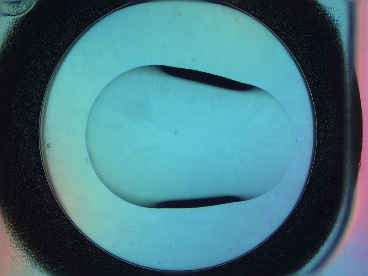 0587_B10_ImagerDefaults_0.jpg