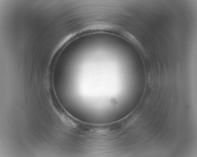 X0000054330436200508111923.png