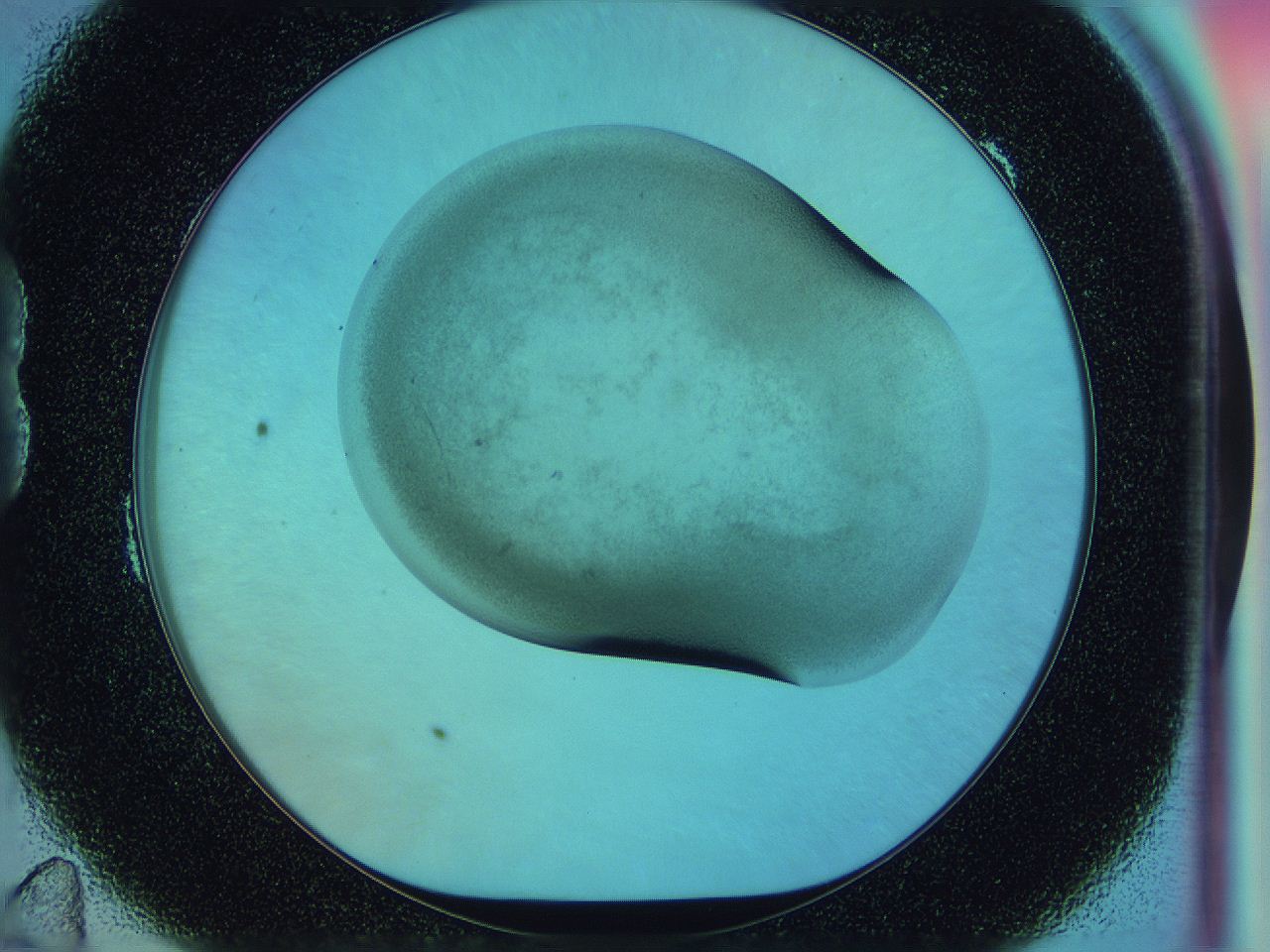 0587_B11_ImagerDefaults_3.jpg
