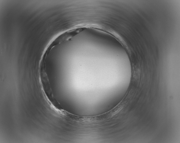 X0000055211102200508301315.png