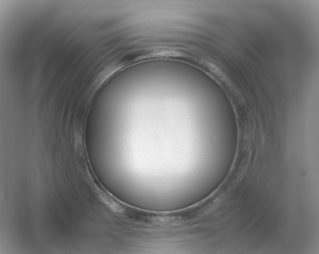 X0000054331281200508111909.png