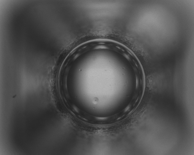 X0000047500544200503161516.png