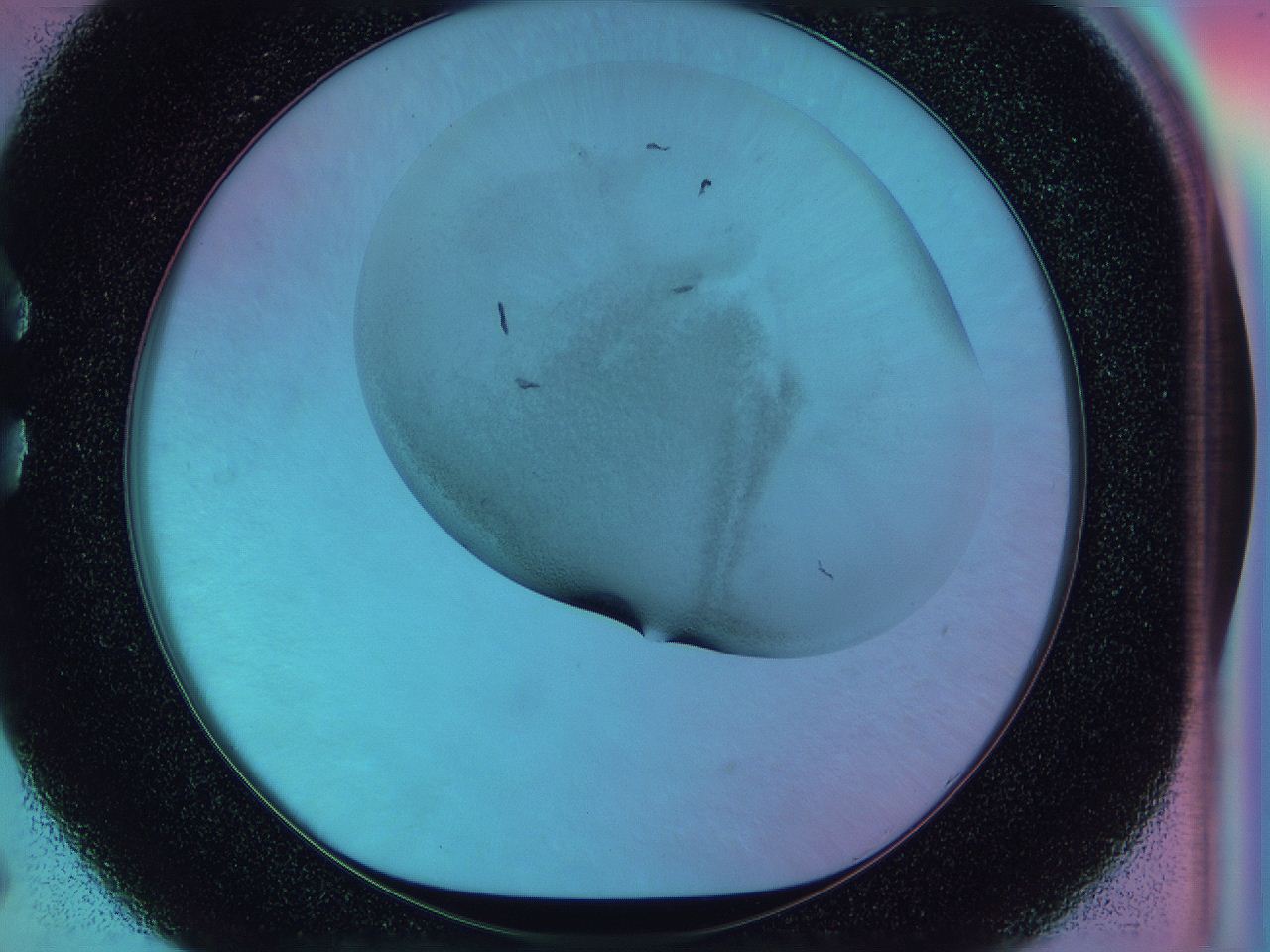 0587_C5_ImagerDefaults_3.jpg