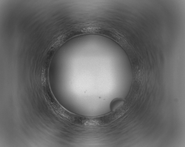 X0000055210599200508301324.png