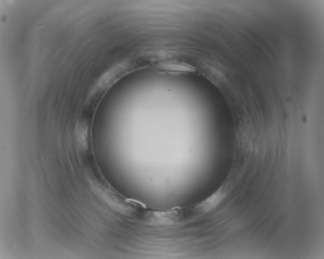 X0000054650188200508091651.png