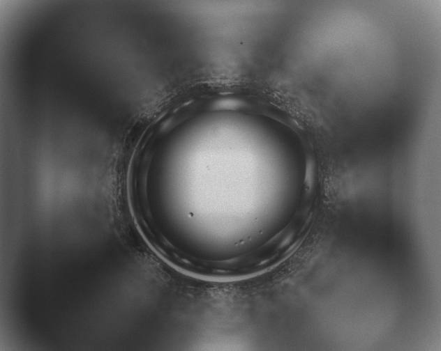 X0000047470755200503091559.png