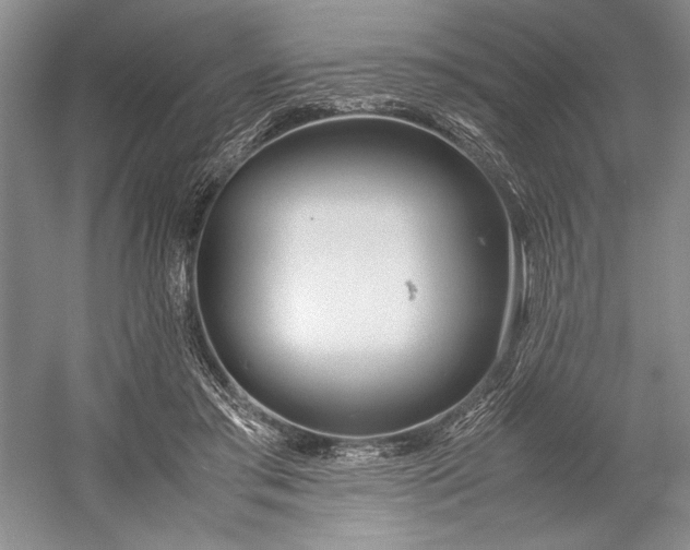 X0000055060405200508161651.png
