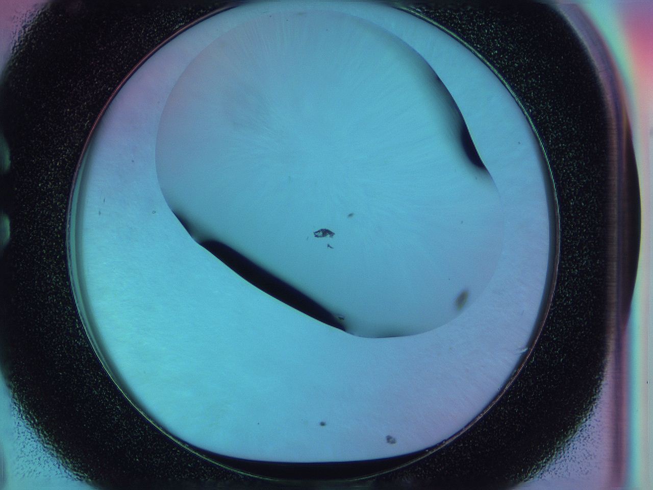 0587_C8_ImagerDefaults_0.jpg
