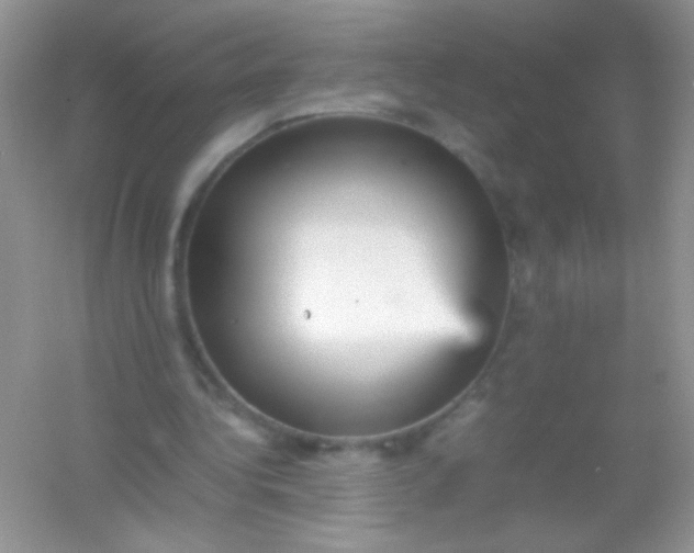 X0000054330340200508111925.png