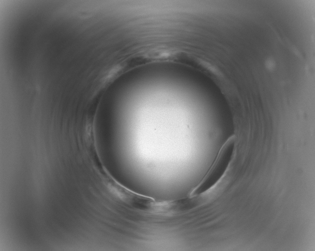 X0000054330192200508111929.png