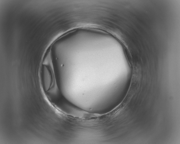 X0000055211007200508301317.png