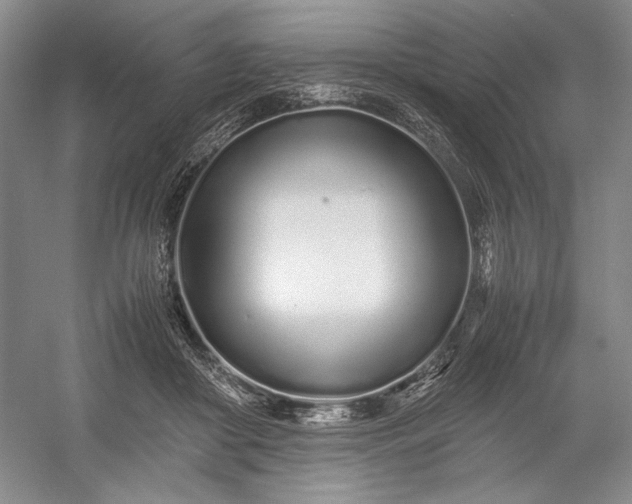 X0000055060410200508161651.png