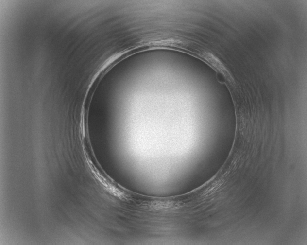 X0000055061036200508161640.png
