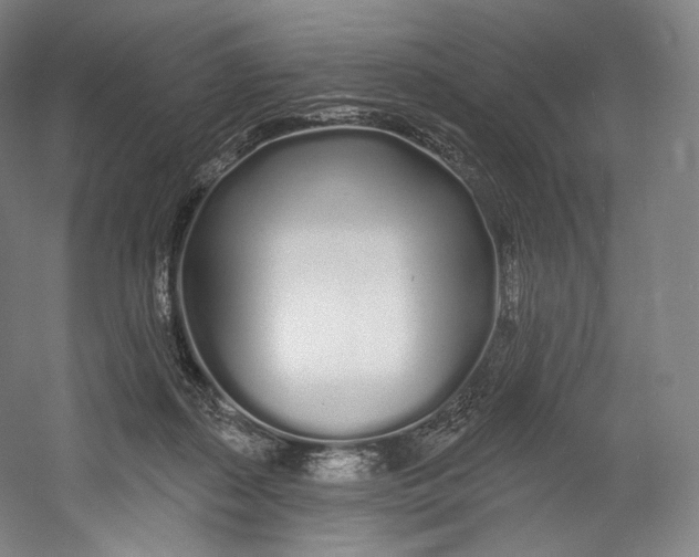 X0000055210267200508301329.png