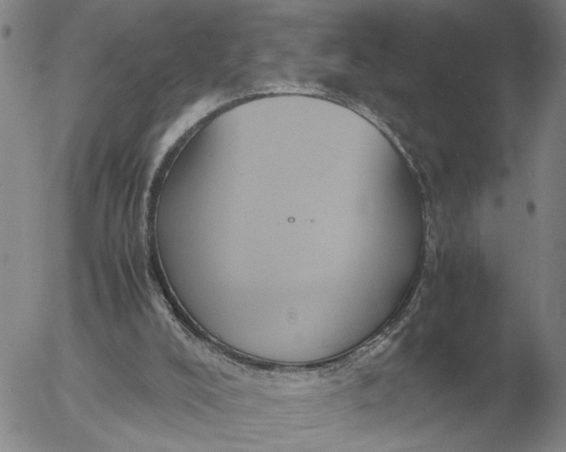 X0000054170008200508101812.png