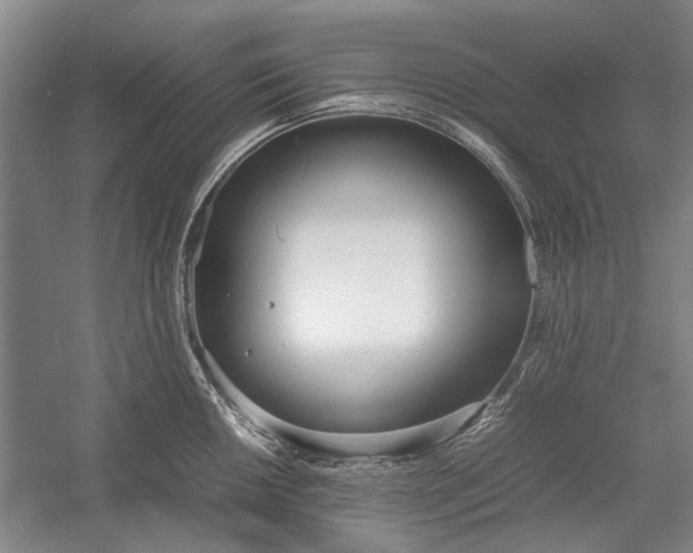 X0000055061050200508161640.png