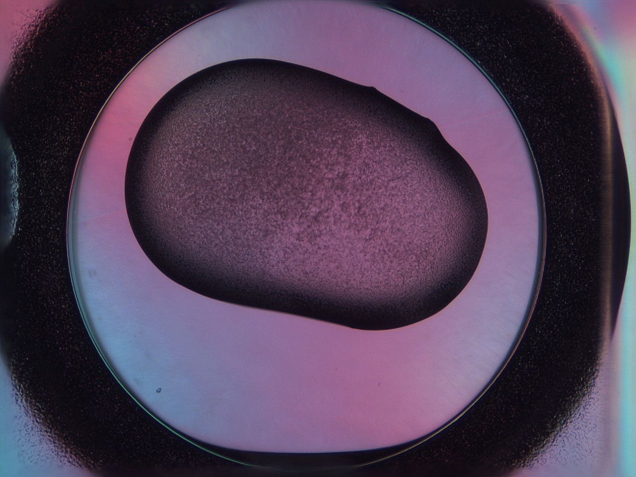 0587_D1_ImagerDefaults_3.jpg