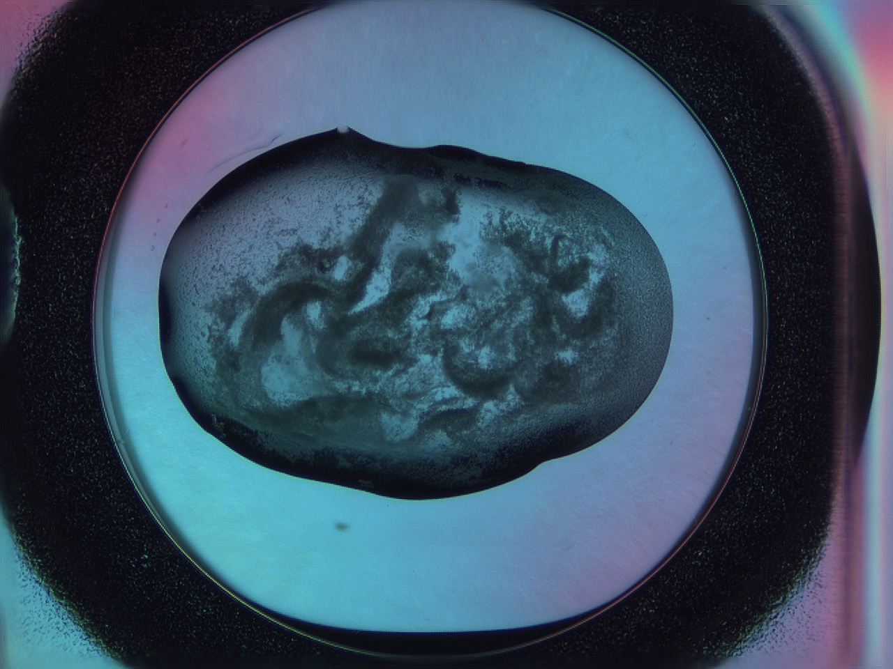 0587_D4_ImagerDefaults_3.jpg