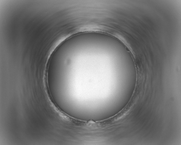 X0000054330901200508111916.png