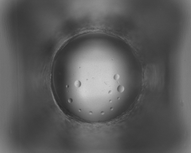 X0000054930003200508291644.png