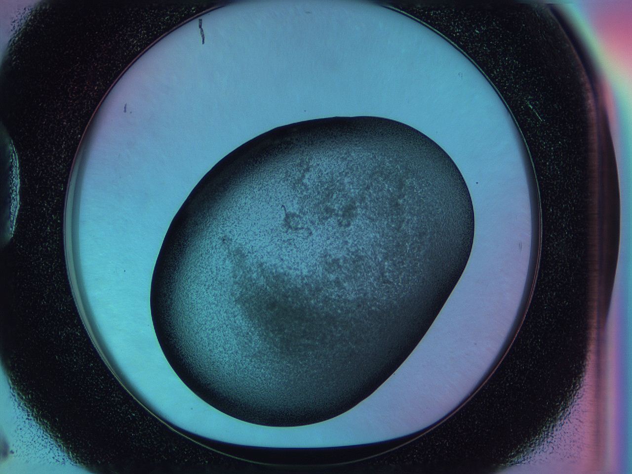 0587_D6_ImagerDefaults_3.jpg