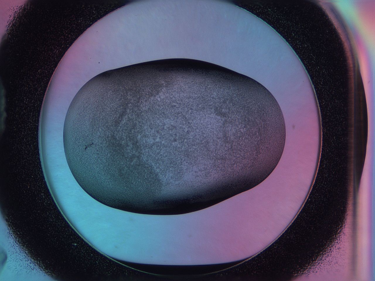 0587_D7_ImagerDefaults_3.jpg