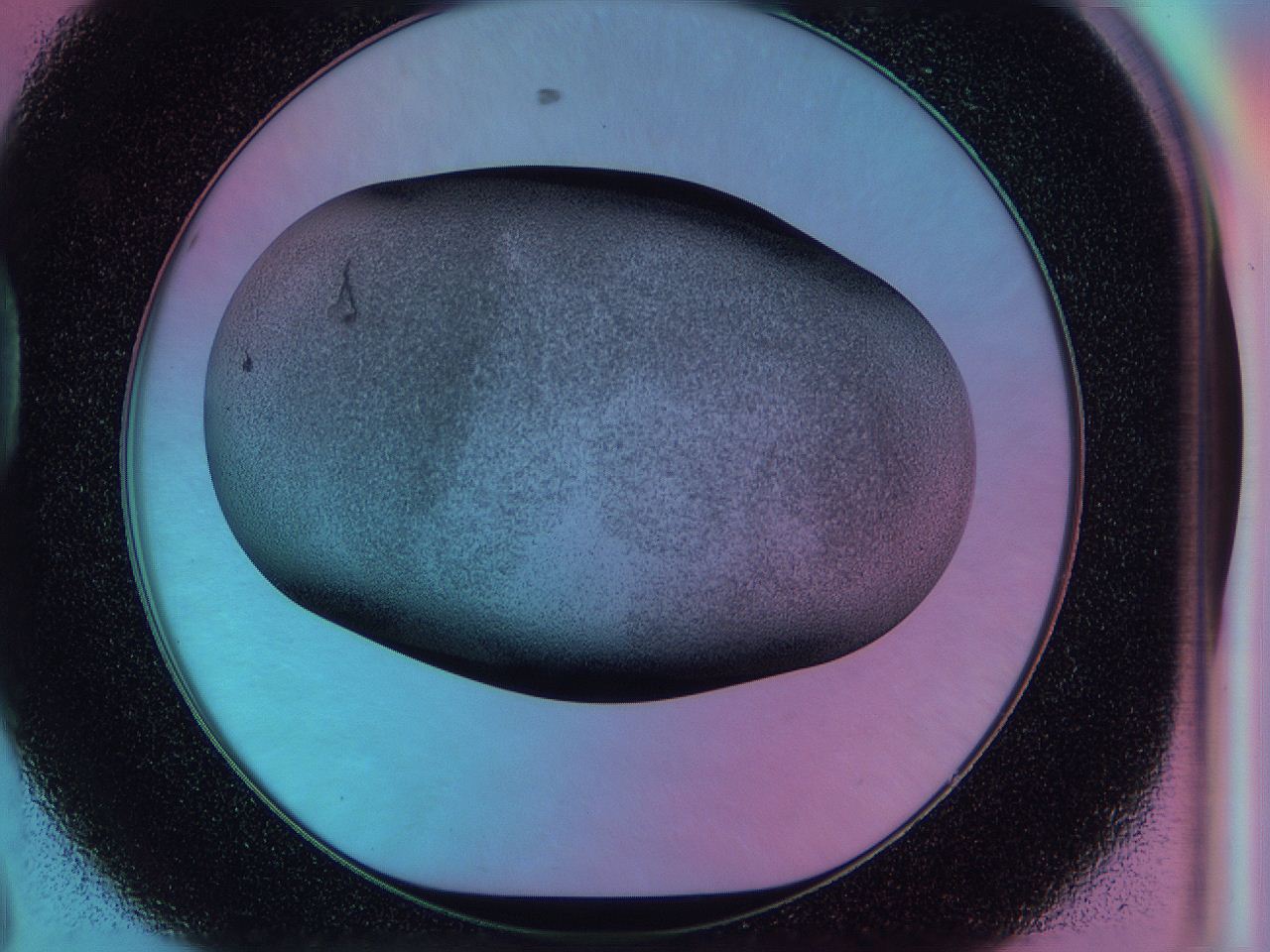 0587_D8_ImagerDefaults_3.jpg
