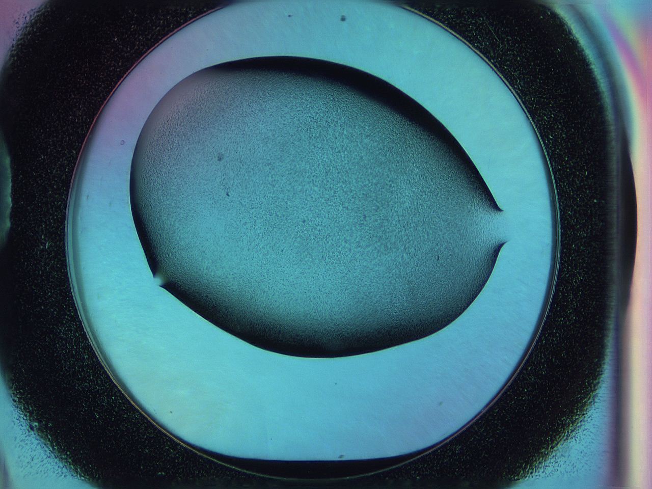 0587_D9_ImagerDefaults_2.jpg