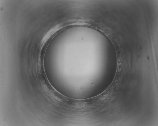 X0000054650296200508091649.png