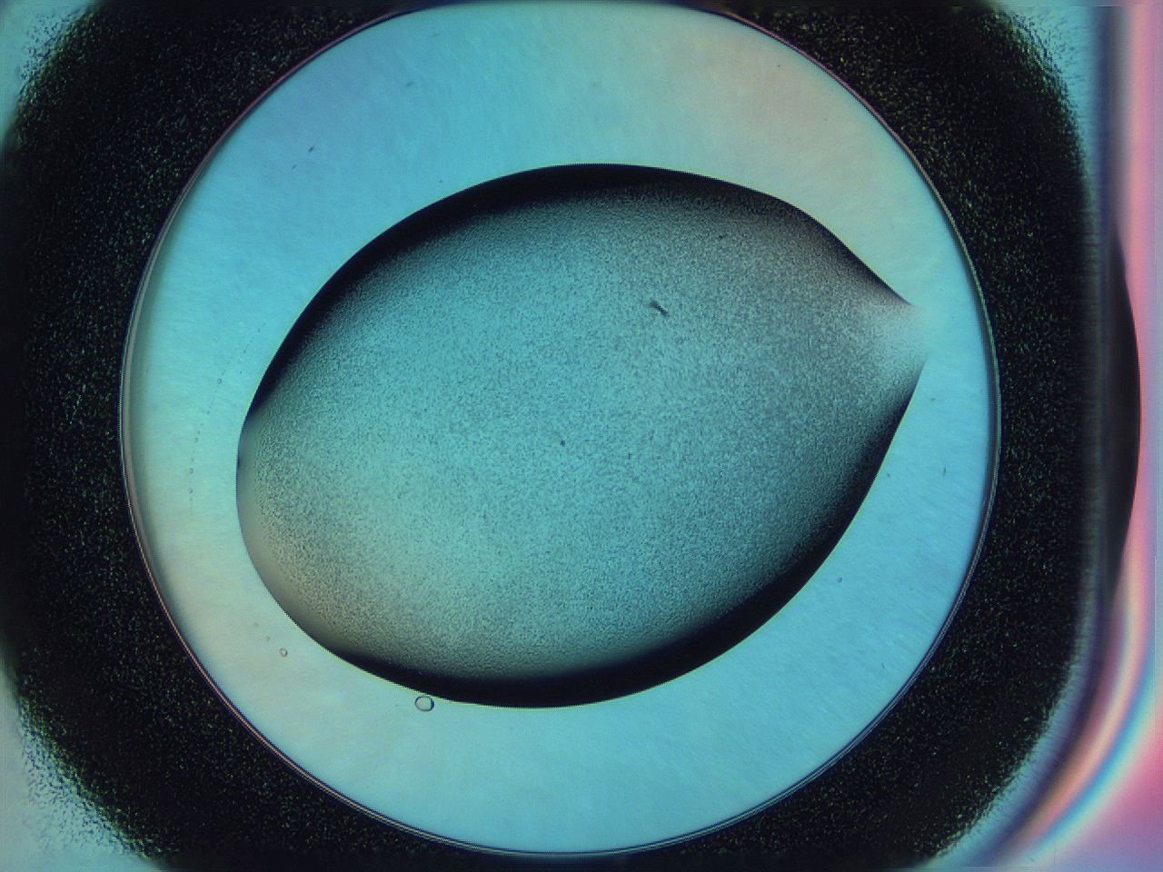 0587_D9_ImagerDefaults_3.jpg