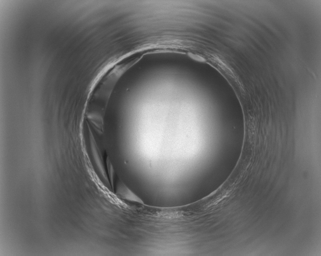 X0000055060944200508161642.png